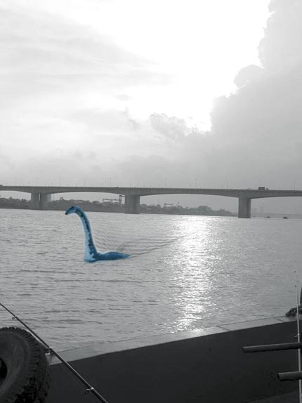 Đi[-]tìm[-]sự[-]thật[-]“quái[-]vật[-]sông[-]Hồng[-]dài[-]40m”